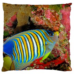 Regal Angelfish Standard Flano Cushion Case (two Sides) by trendistuff