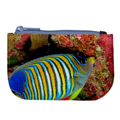 Regal Angelfish Large Coin Purse by trendistuff