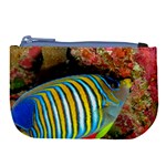 REGAL ANGELFISH Large Coin Purse Front