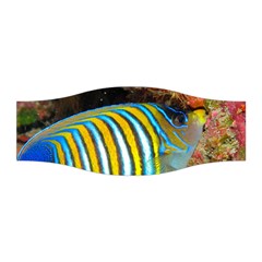 Regal Angelfish Stretchable Headband by trendistuff