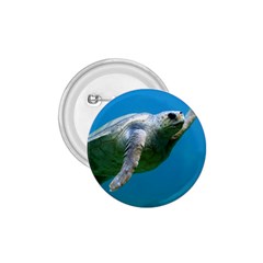 Sea Turtle 2 1 75  Buttons by trendistuff