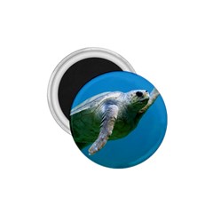 Sea Turtle 2 1 75  Magnets by trendistuff