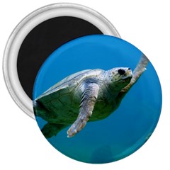 Sea Turtle 2 3  Magnets by trendistuff