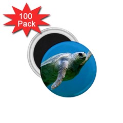 Sea Turtle 2 1 75  Magnets (100 Pack)  by trendistuff