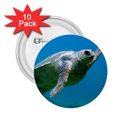 Sea Turtle 2 2 25  Buttons (10 Pack)  by trendistuff