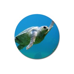 Sea Turtle 2 Magnet 3  (round) by trendistuff