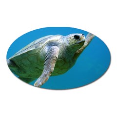 Sea Turtle 2 Oval Magnet by trendistuff