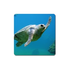 Sea Turtle 2 Square Magnet by trendistuff