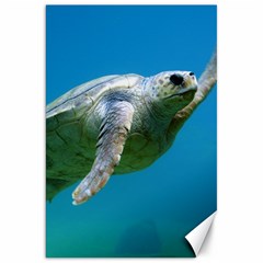 Sea Turtle 2 Canvas 20  X 30   by trendistuff