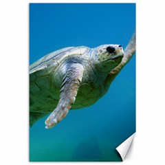 Sea Turtle 2 Canvas 24  X 36  by trendistuff