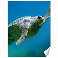 Sea Turtle 2 Canvas 36  X 48   by trendistuff