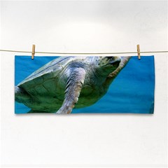 Sea Turtle 2 Cosmetic Storage Cases by trendistuff