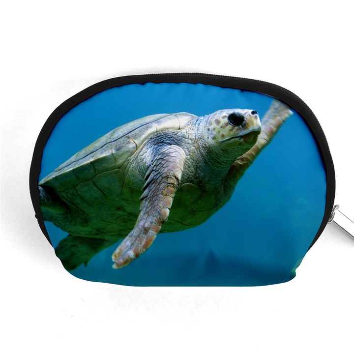 SEA TURTLE 2 Accessory Pouches (Medium) 