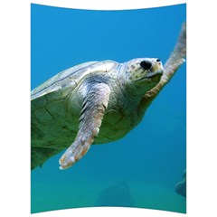 Sea Turtle 2 Back Support Cushion