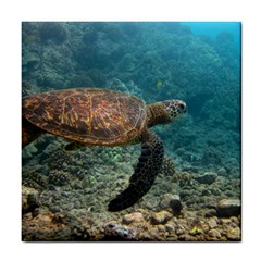 Sea Turtle 3 Tile Coasters by trendistuff