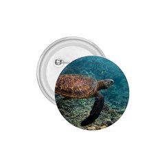 Sea Turtle 3 1 75  Buttons by trendistuff