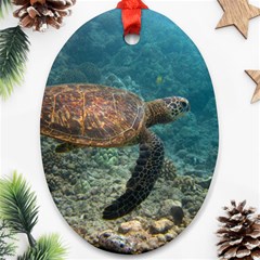 Sea Turtle 3 Ornament (oval) by trendistuff