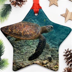 Sea Turtle 3 Ornament (star) by trendistuff