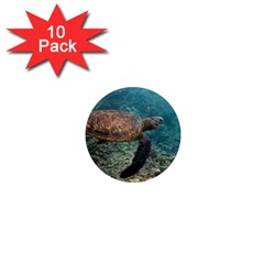 Sea Turtle 3 1  Mini Magnet (10 Pack)  by trendistuff