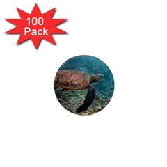 Sea Turtle 3 1  Mini Magnets (100 Pack)  by trendistuff