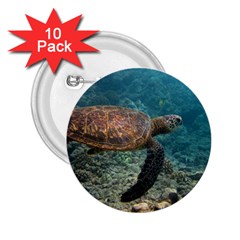 Sea Turtle 3 2 25  Buttons (10 Pack)  by trendistuff