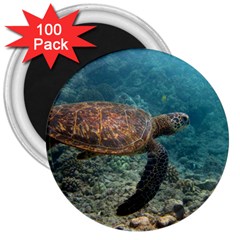 Sea Turtle 3 3  Magnets (100 Pack) by trendistuff