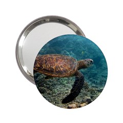 Sea Turtle 3 2 25  Handbag Mirrors by trendistuff