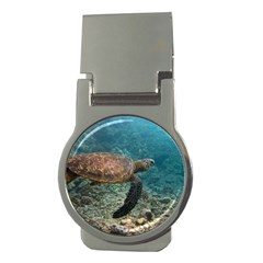 Sea Turtle 3 Money Clips (round)  by trendistuff