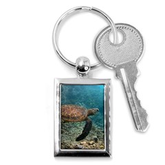 Sea Turtle 3 Key Chains (rectangle)  by trendistuff