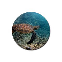 Sea Turtle 3 Rubber Round Coaster (4 Pack)  by trendistuff