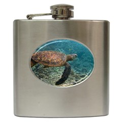 Sea Turtle 3 Hip Flask (6 Oz) by trendistuff