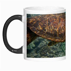 Sea Turtle 3 Morph Mugs by trendistuff