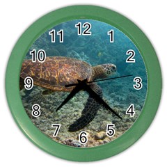 Sea Turtle 3 Color Wall Clocks by trendistuff