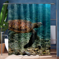 Sea Turtle 3 Shower Curtain 60  X 72  (medium)  by trendistuff