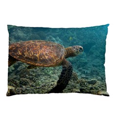 Sea Turtle 3 Pillow Case (two Sides) by trendistuff