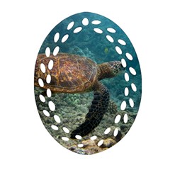 Sea Turtle 3 Ornament (oval Filigree) by trendistuff