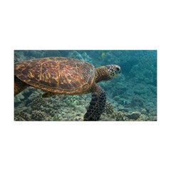 Sea Turtle 3 Yoga Headband by trendistuff