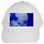 SPOTTED JELLYFISH White Cap