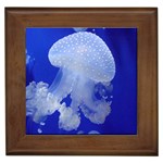 SPOTTED JELLYFISH Framed Tiles