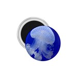 SPOTTED JELLYFISH 1.75  Magnets