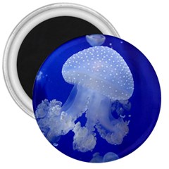 Spotted Jellyfish 3  Magnets by trendistuff