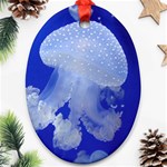 SPOTTED JELLYFISH Ornament (Oval)