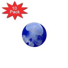 Spotted Jellyfish 1  Mini Magnet (10 Pack) 