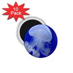 SPOTTED JELLYFISH 1.75  Magnets (10 pack) 