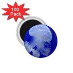 SPOTTED JELLYFISH 1.75  Magnets (100 pack) 