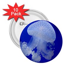 Spotted Jellyfish 2 25  Buttons (10 Pack)  by trendistuff