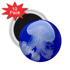 Spotted Jellyfish 2 25  Magnets (10 Pack)  by trendistuff