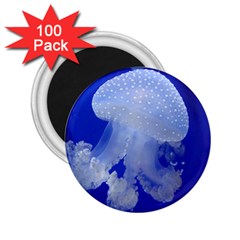 Spotted Jellyfish 2 25  Magnets (100 Pack)  by trendistuff