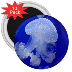 Spotted Jellyfish 3  Magnets (10 Pack)  by trendistuff