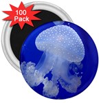 SPOTTED JELLYFISH 3  Magnets (100 pack)